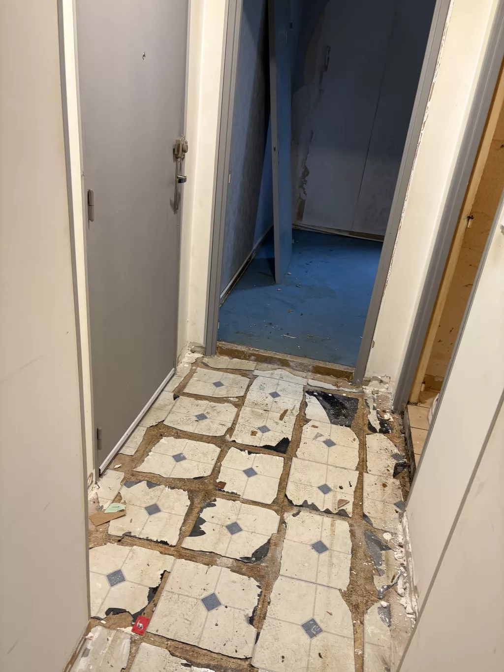 Appartement plafond,murs ,revêtement de sol — photo 5